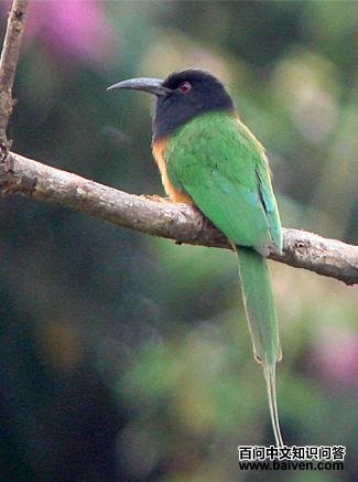 ��ͷ�仢��ͼƬ