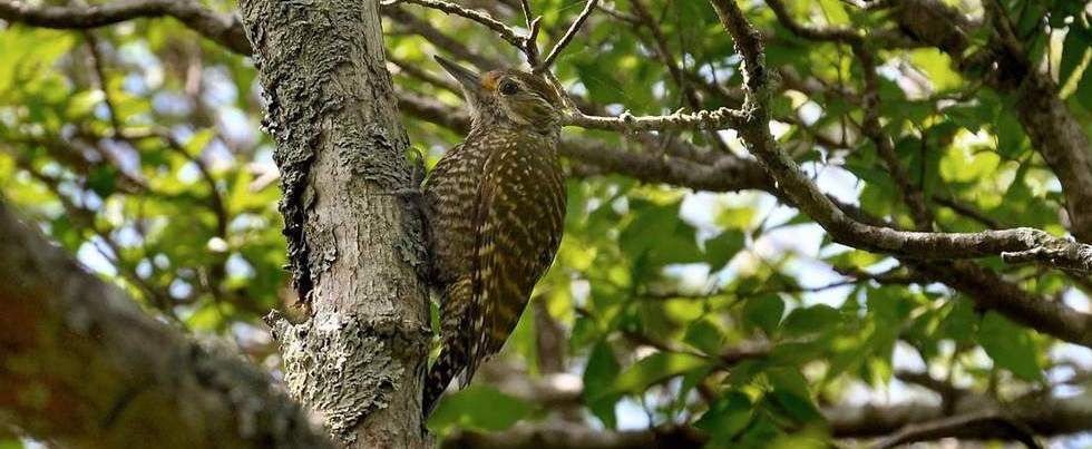 �װ���ľ���ͼƬ