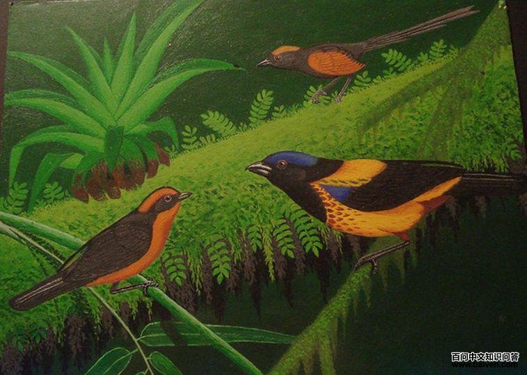 ������βȸ��ͼƬ