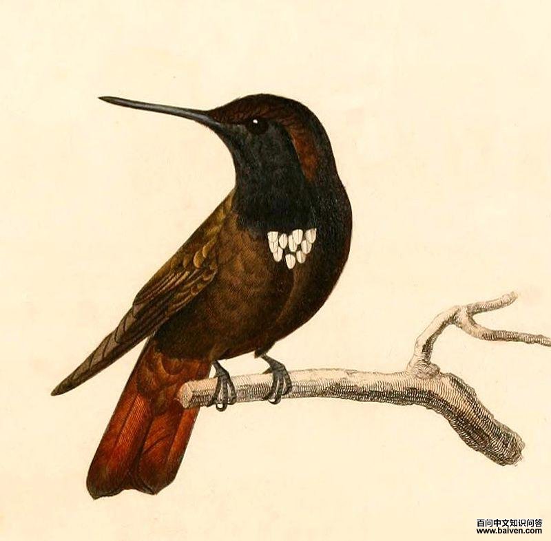 ��ͷ��������ͼƬ