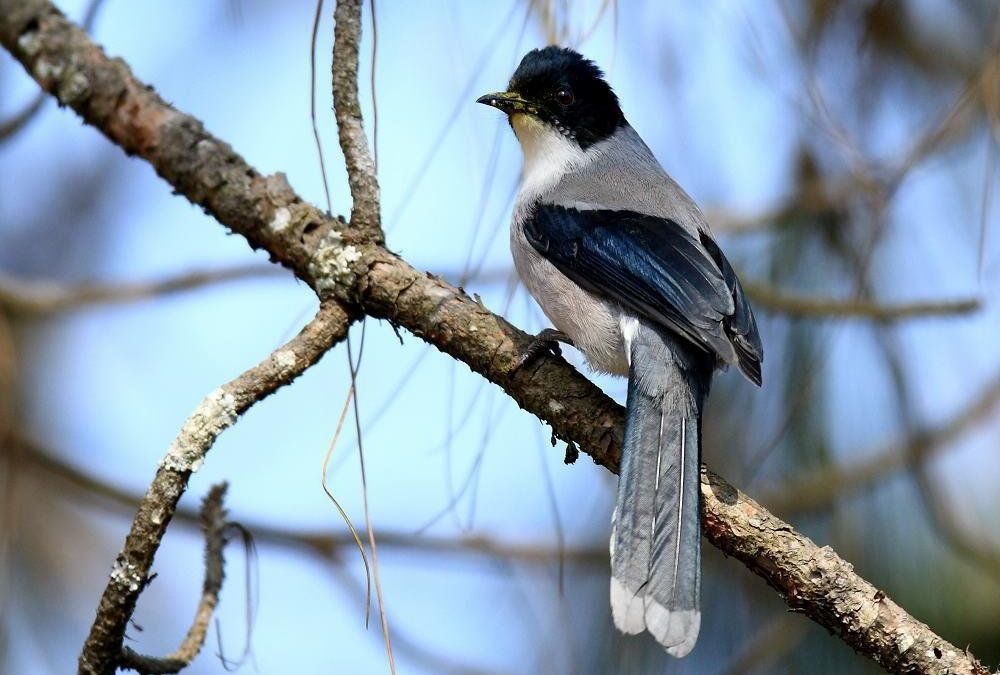 ��ͷ���̵�ͼƬ