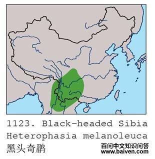 ��ͷ���̣������ֲ�ͼ