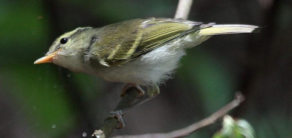 �װ�β��ݺ�����ڹ�����