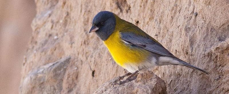 ��ͷ��ȸ�c��ͼƬ