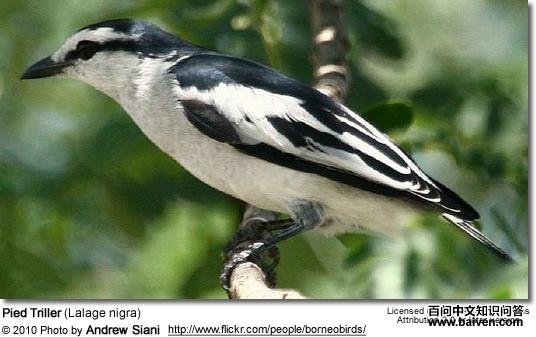 �������V��ͼƬ