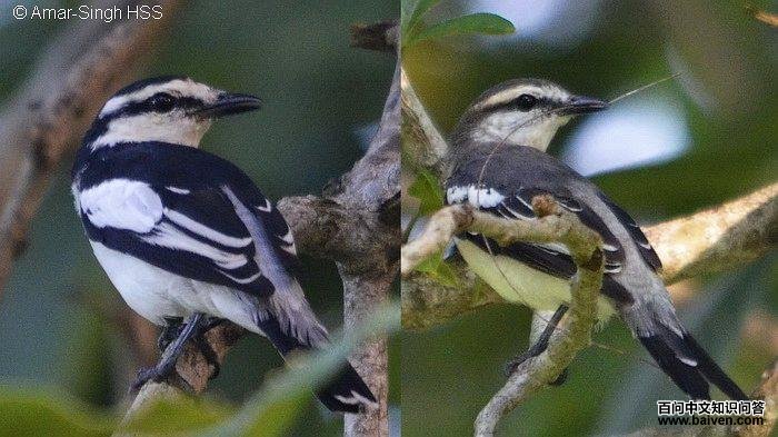 �������V