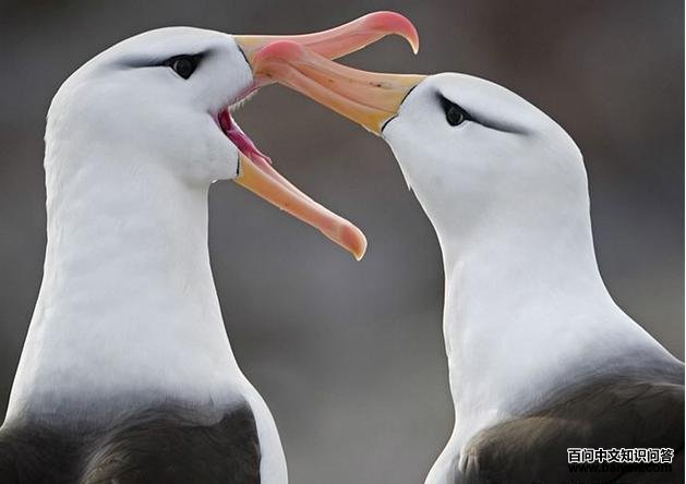 ��ü������