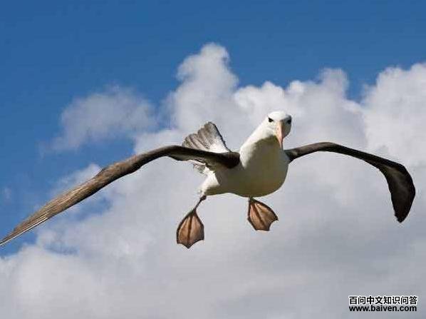 ��ü������