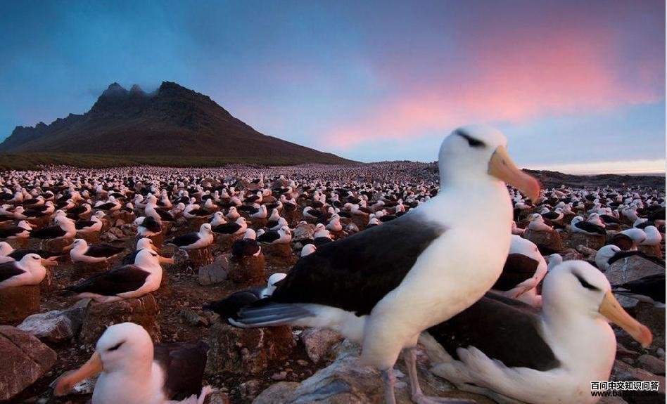 ��ü������Ǩ��鳲