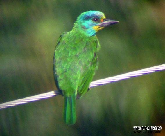 ��ü����ľ���ͼƬ