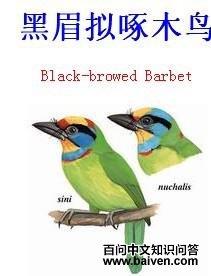 ��ü����ľ��