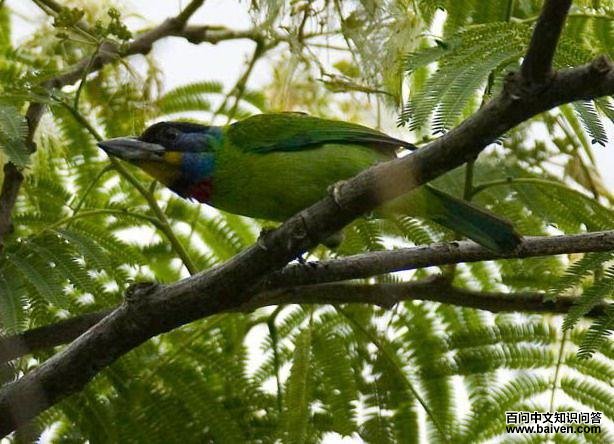 ��ü����ľ��