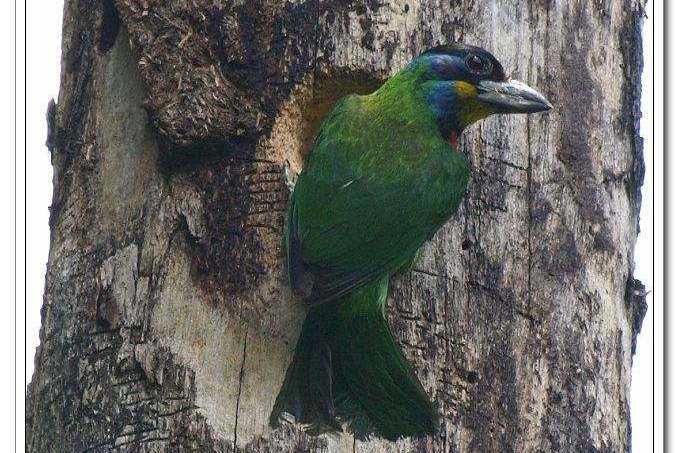 ��ü����ľ��