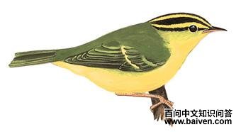 ��ü��ݺ����̬����ͼ