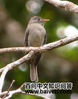 ���̰��l��ͼƬ