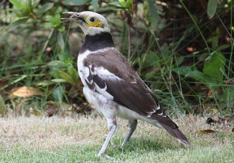 ��������ͼƬ