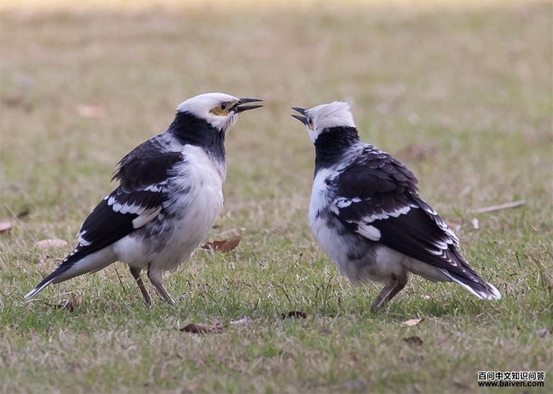 �������򸾣�������������