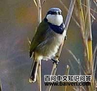 �����ǵ�ͼƬ