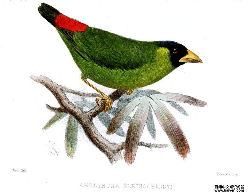 ������ȸ��ͼƬ