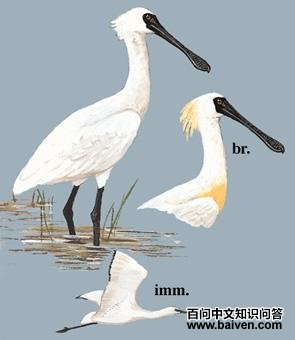 �������أ���̬����ͼ