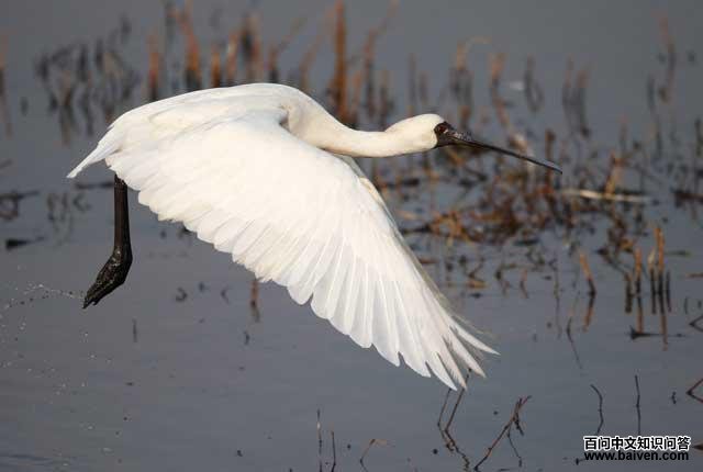 �������أ�����ͼ