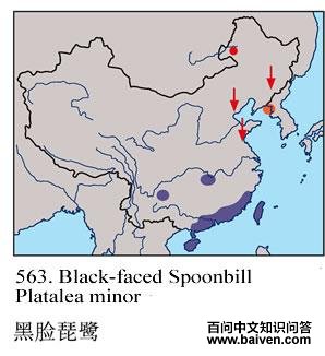 �������أ������ֲ�ͼ