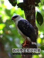 ���������\��ͼƬ