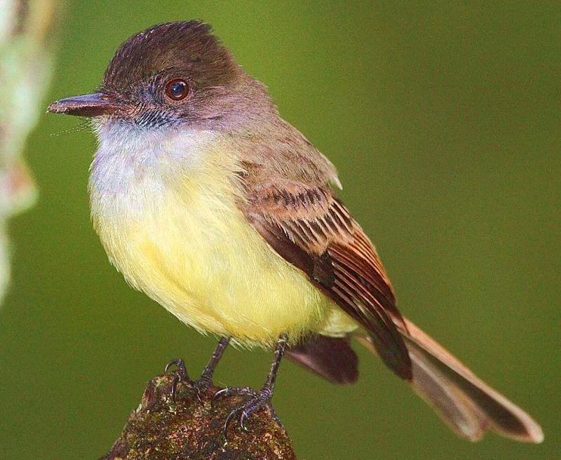 ���l��Ŀ��ͼƬ