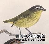 ������С���l��