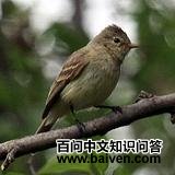 ����С���l��