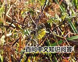 �������l��