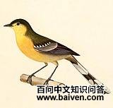 �n�_���l��