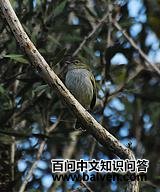 ����С���l��