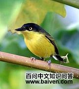 ��ͷ�ư��l��