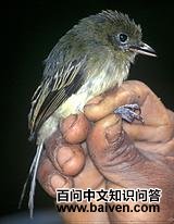 ������l��