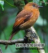 �����l��