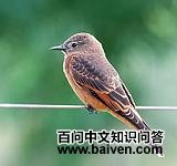 �ͱڰ��l��