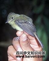 �߳���l��