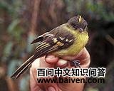 �����߳���l��