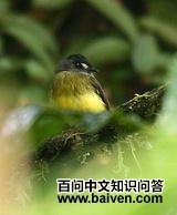 �������l��