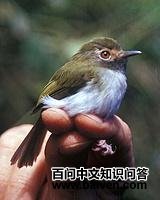 ٪�ư��l��