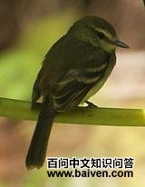 ���ְ��l��