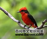 �����l��