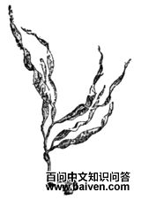 �ر�С���l��