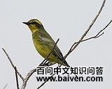 ��ü���l��