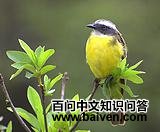 ������l��