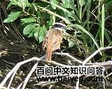 ������l��