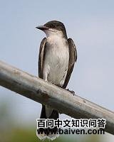 �����l��