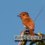 �������l��