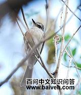 �����l��